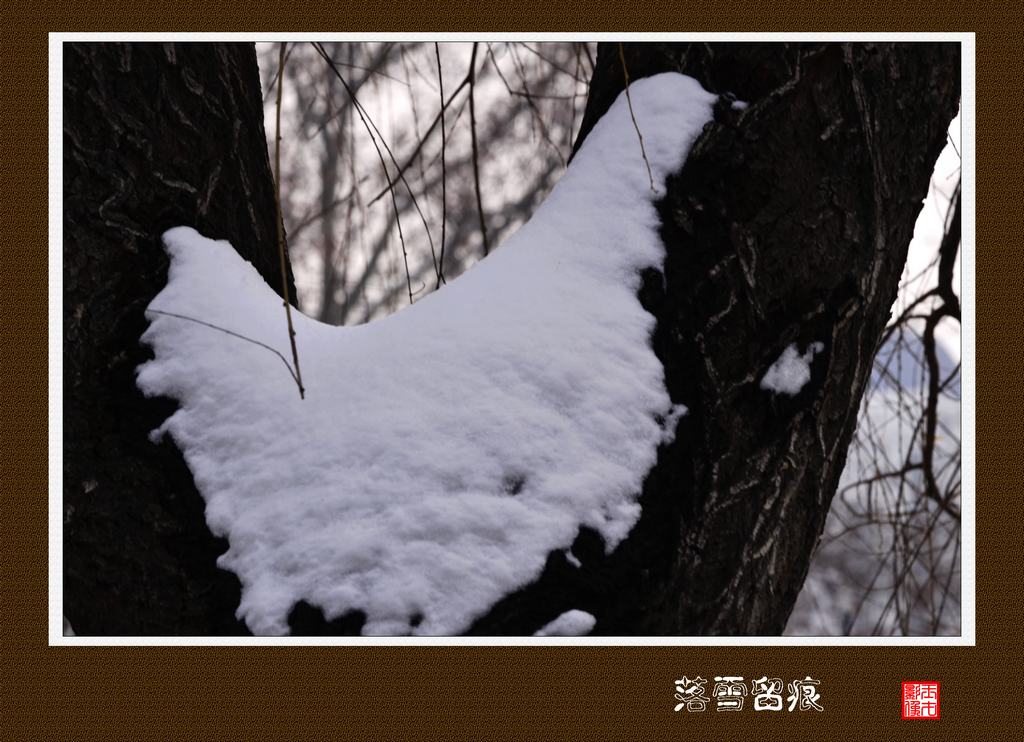 _DSC8694(1024.jpg
