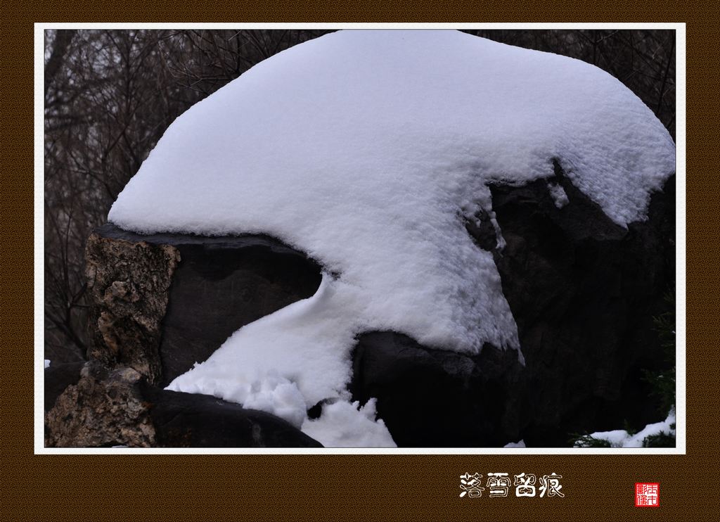 _DSC8715(1024.jpg