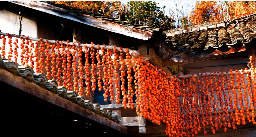 QQͼƬ20140210164156.jpg