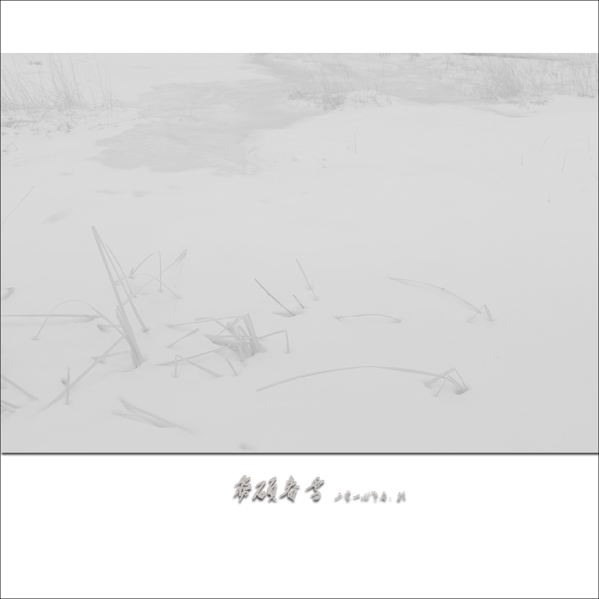 ˶ѩ6.jpg