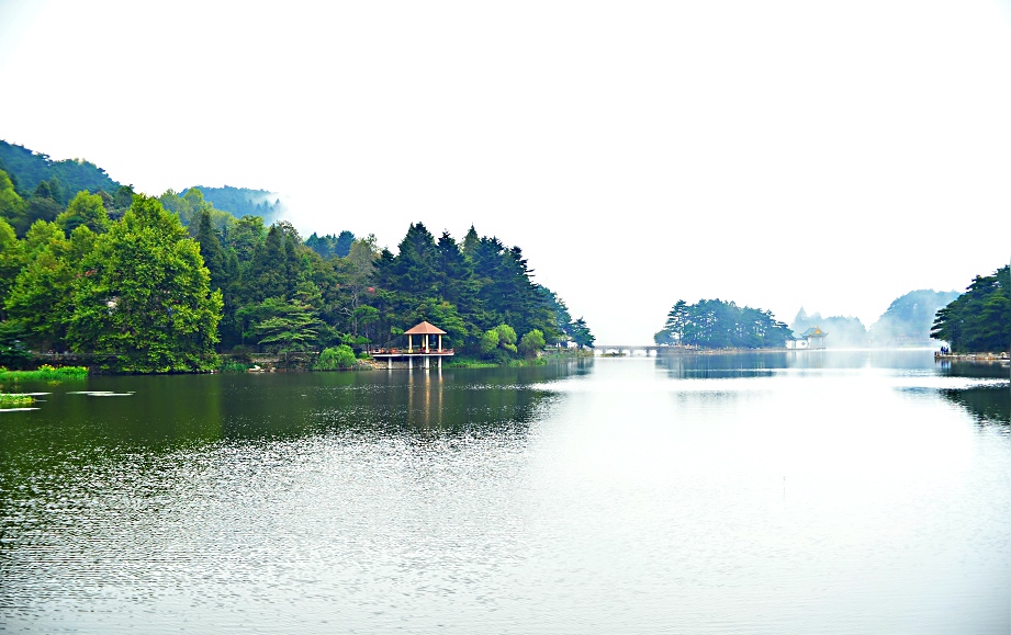 DSC_0676.jpg