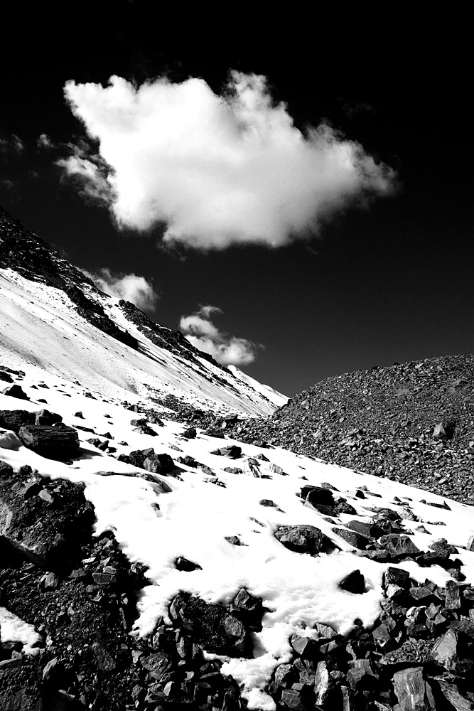  _MG_4686.jpg