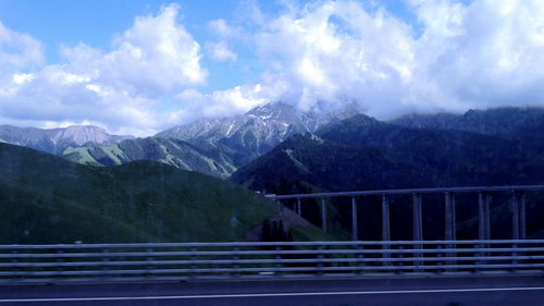 DSC02579.jpg