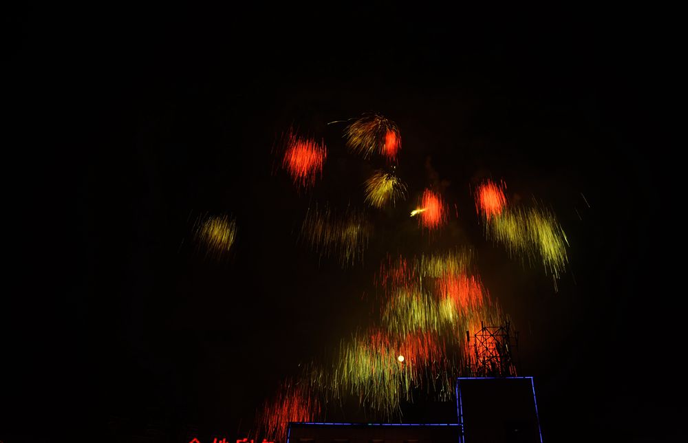 DSC_0233_.jpg