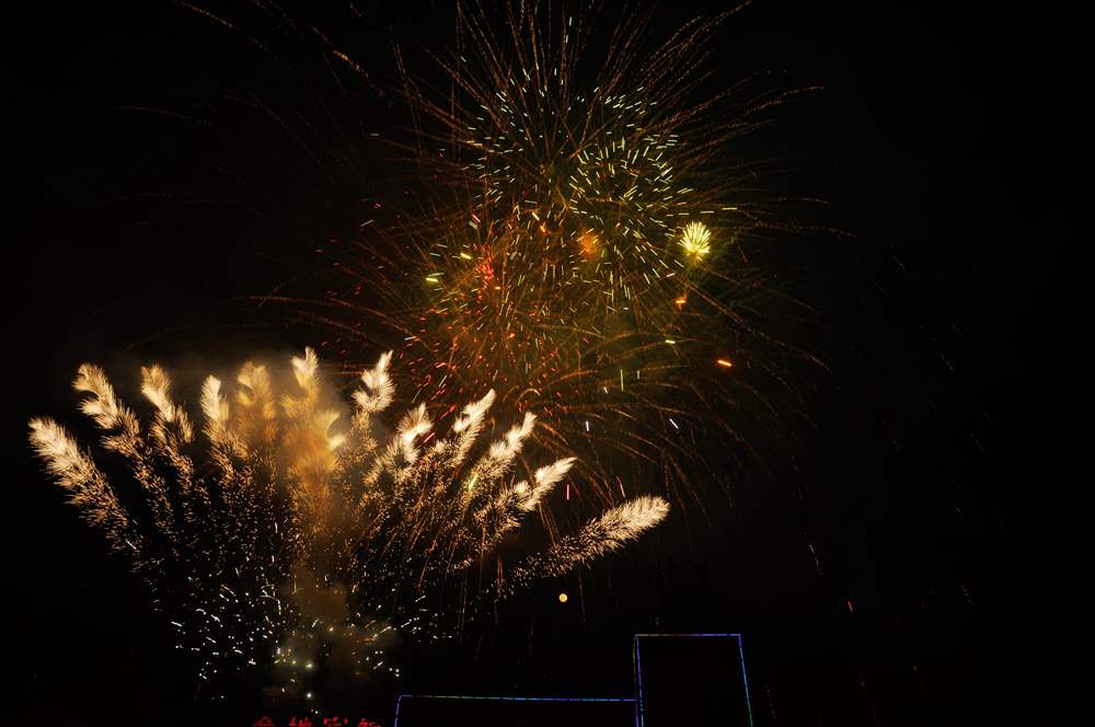 DSC_0291_.jpg