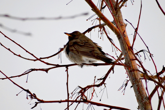 DSC07751.jpg