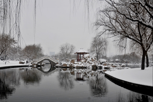 DSC_9273aa6.jpg