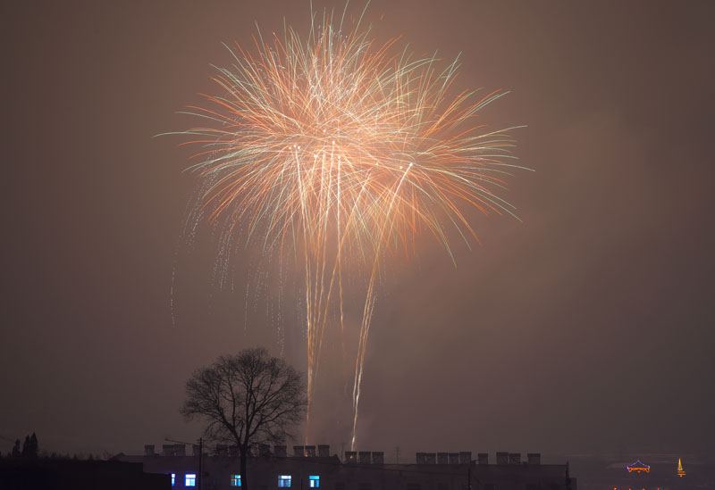 _LMZ5438.jpg
