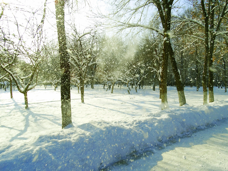 DSC04375_.jpg