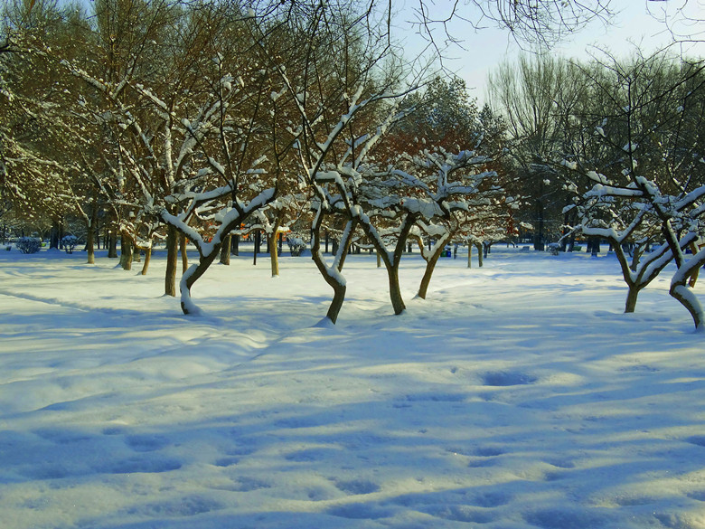 DSC04379_.jpg