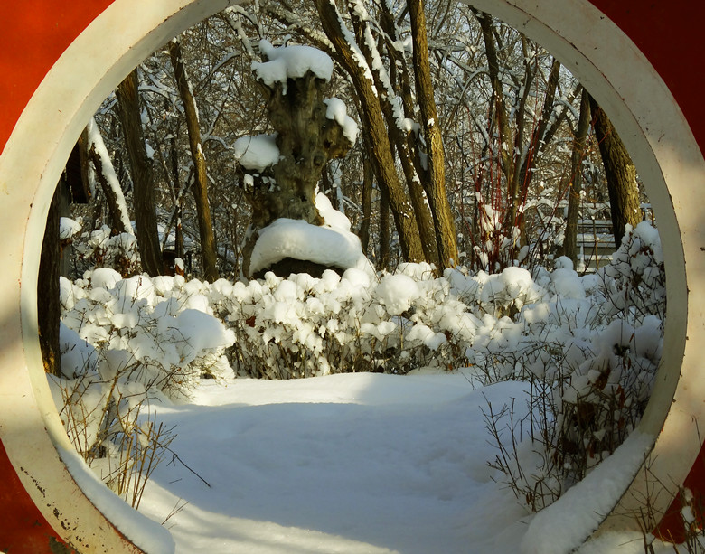 DSC04386_.jpg