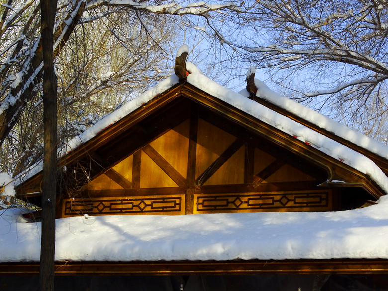 DSC04394_.jpg