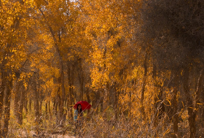 DSC_0611...jpg