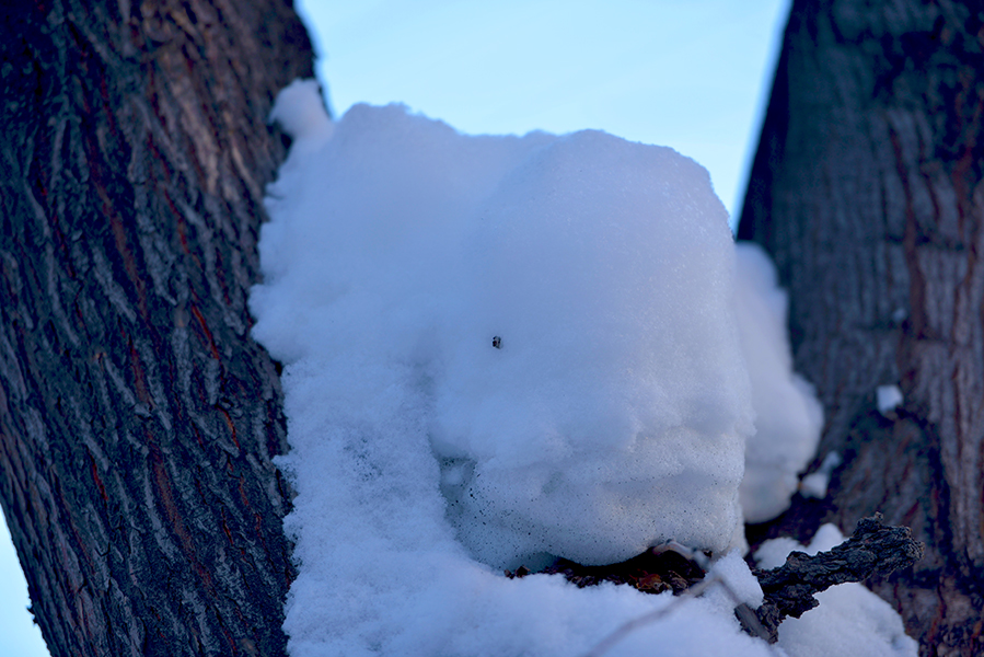 DSC_0297.JPG