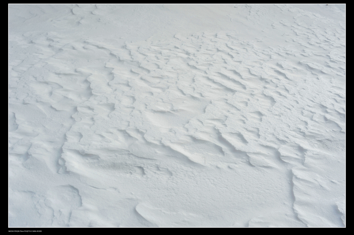 DSC_7764.JPG