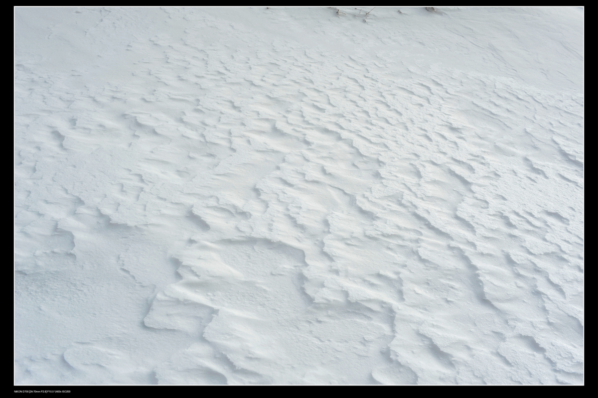 DSC_7765.JPG