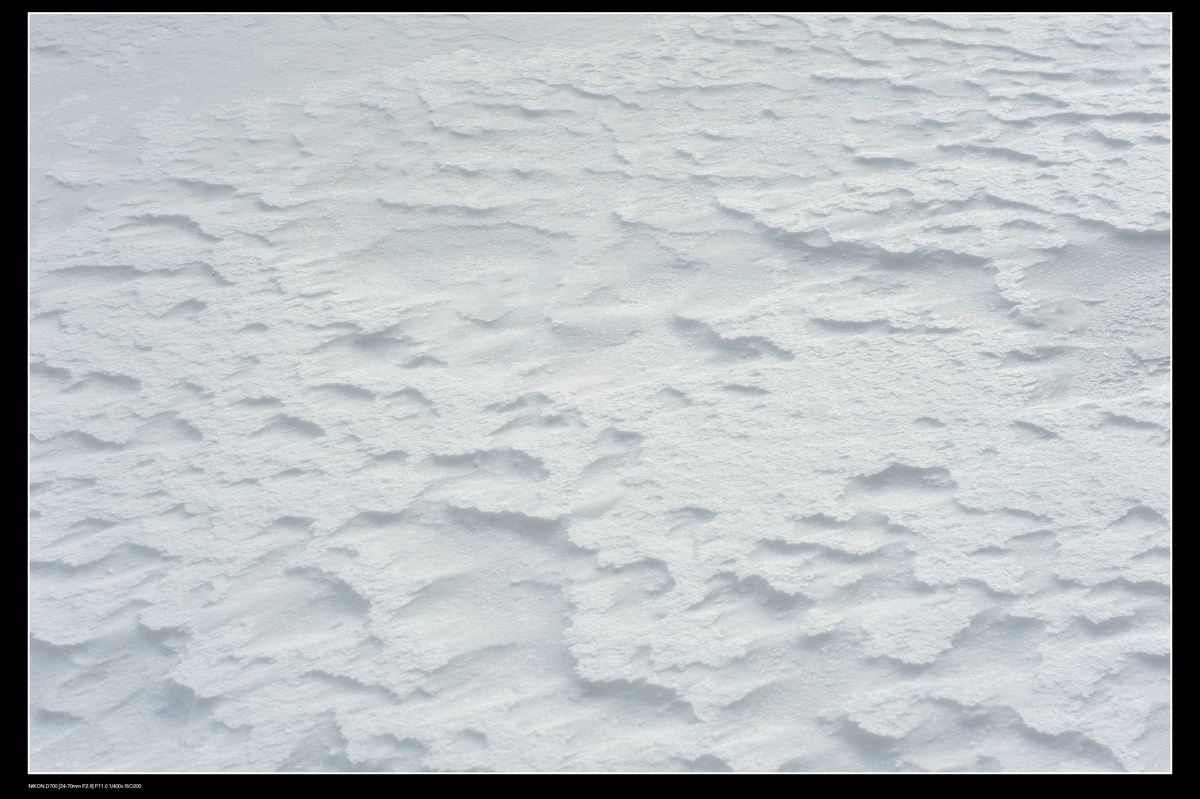 DSC_7766.JPG