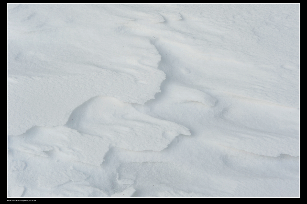 DSC_7767.JPG