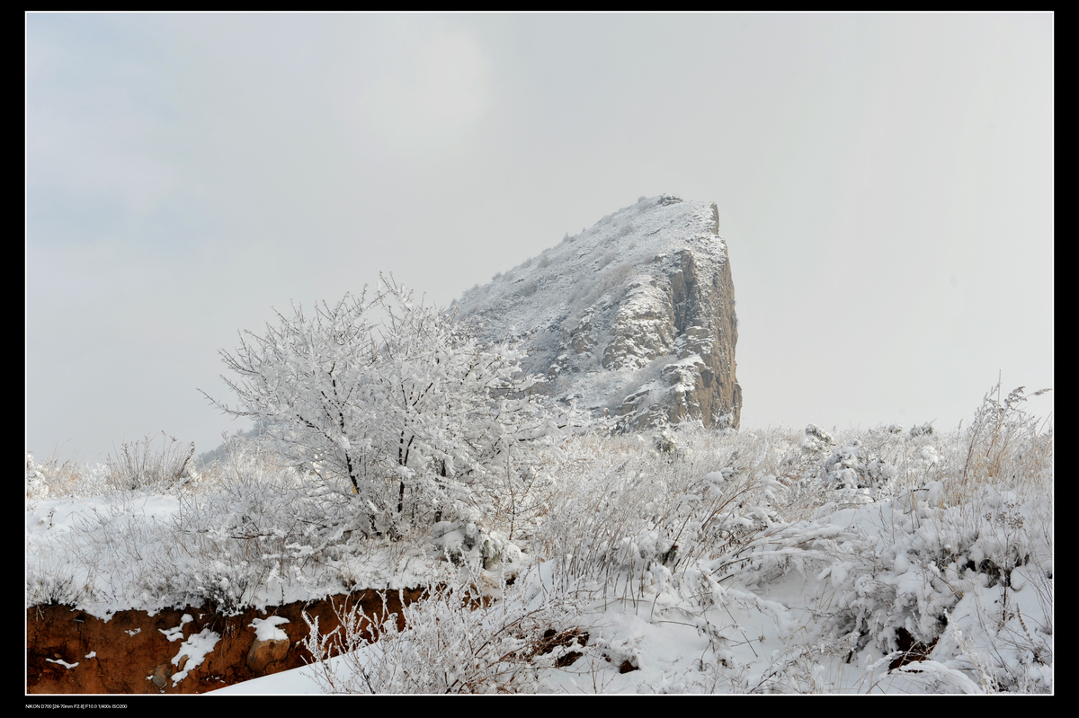 DSC_7772.JPG