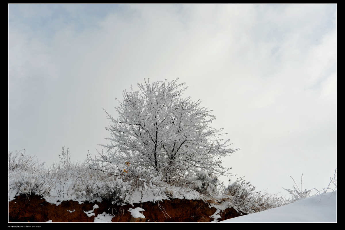 DSC_7773.JPG