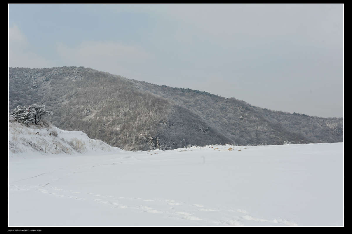 DSC_7774.JPG