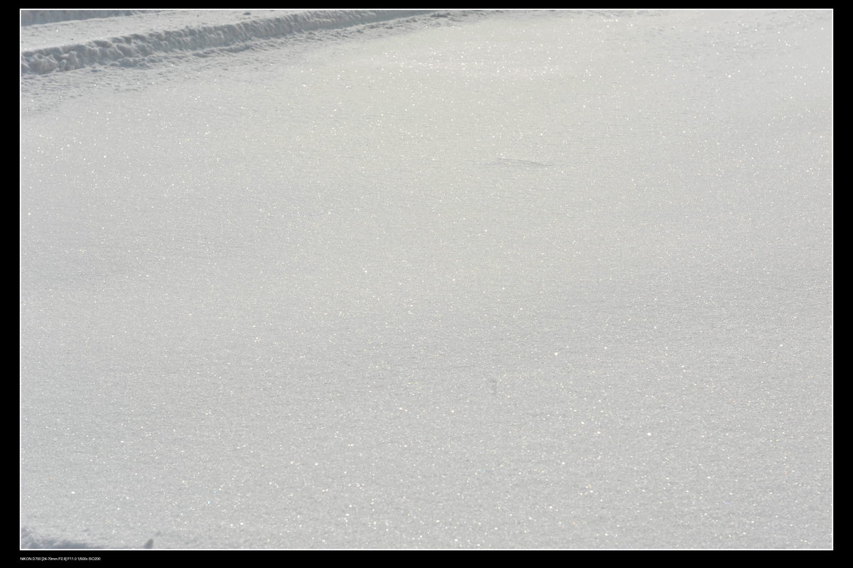 DSC_7775.JPG