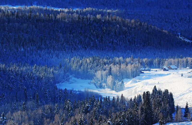 IMG_1567---.jpg