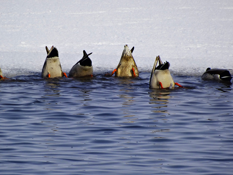 DSC04732_.jpg