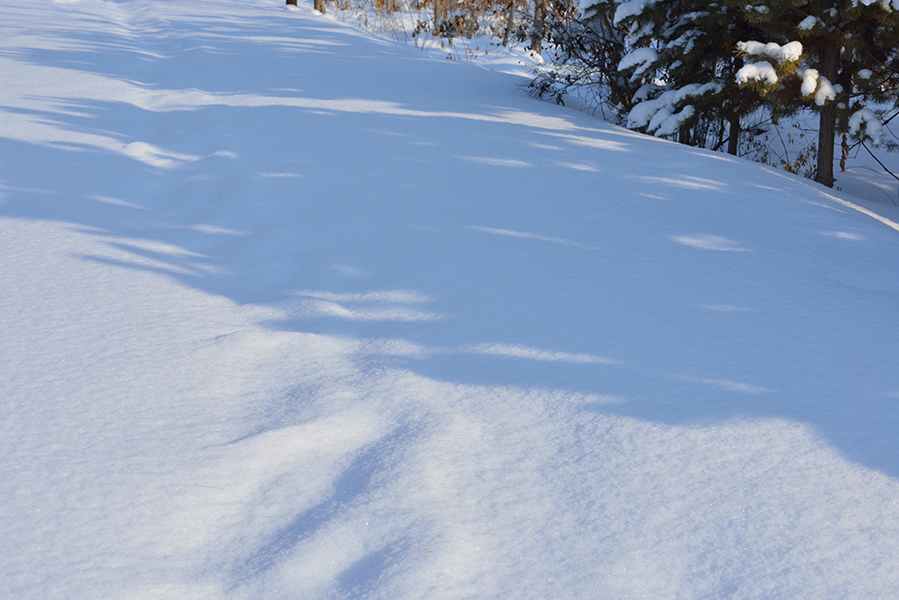 DSC_0111.JPG