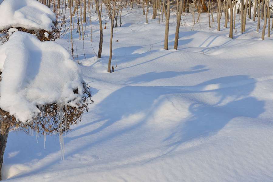 DSC_0140.JPG
