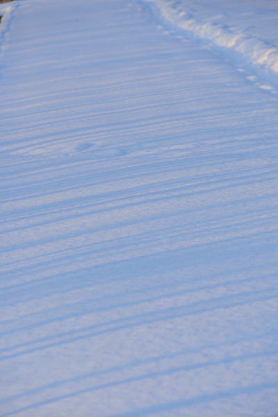 DSC_0225.JPG