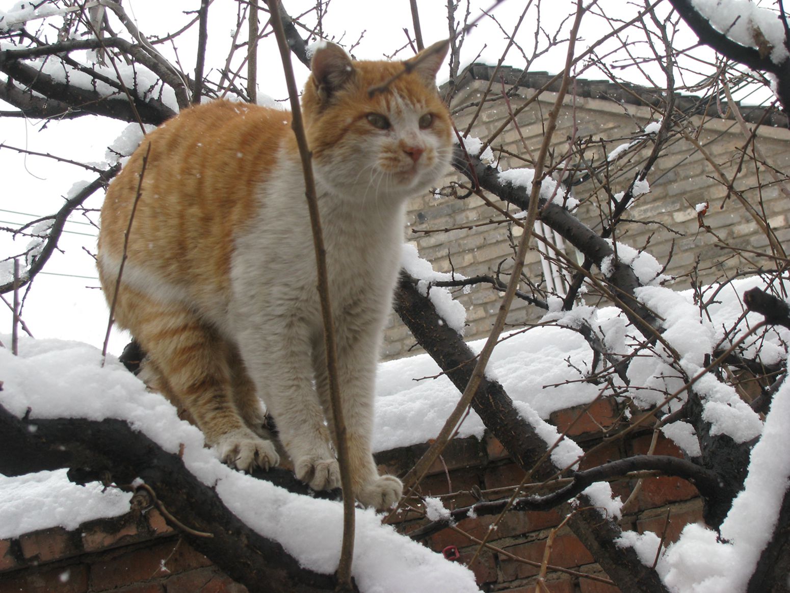IMG_0440___.jpg