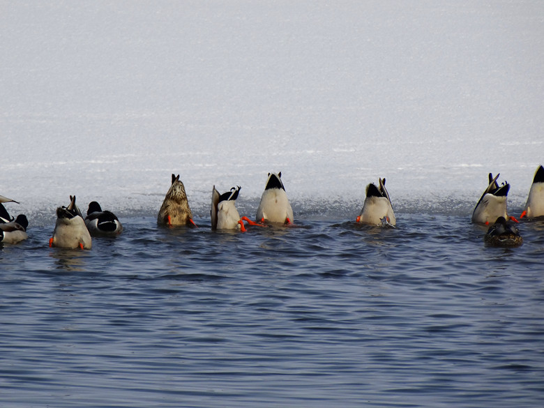 DSC04690_.jpg