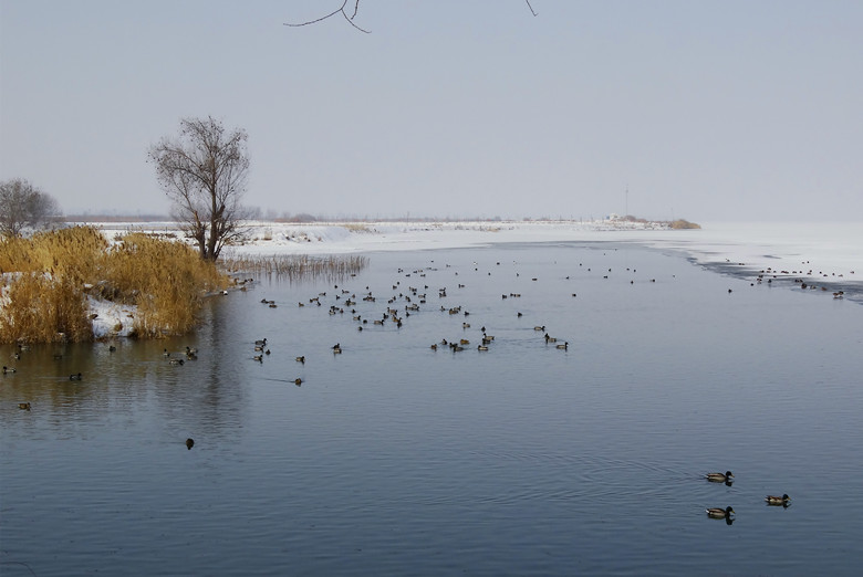 DSC04786_.jpg