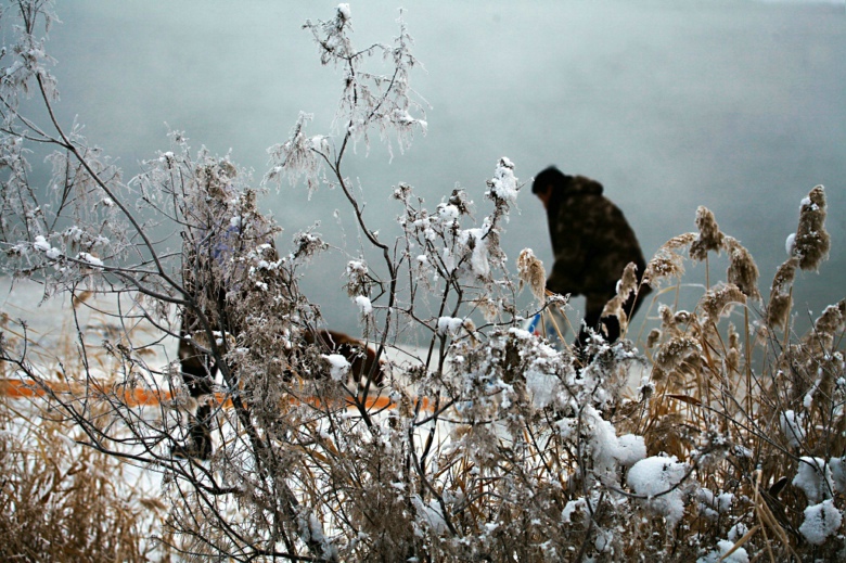 IMG_4442.jpg