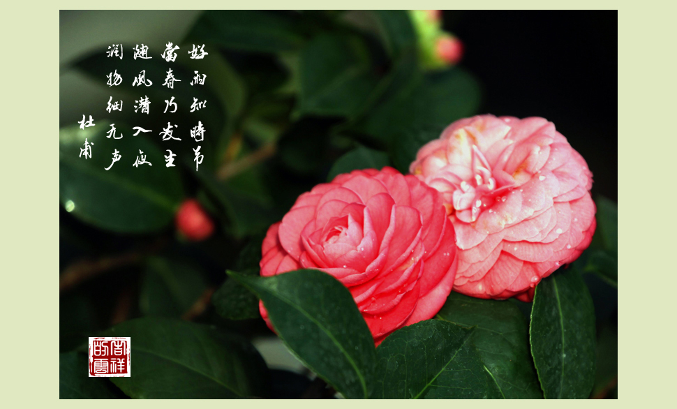 IMG_紺1.jpg