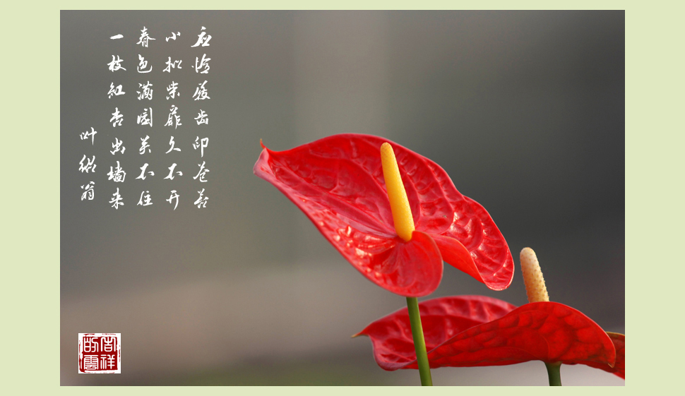 IMG_紺2.jpg