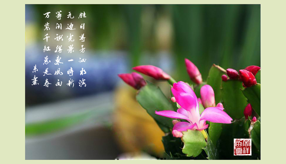 IMG_紺3.jpg
