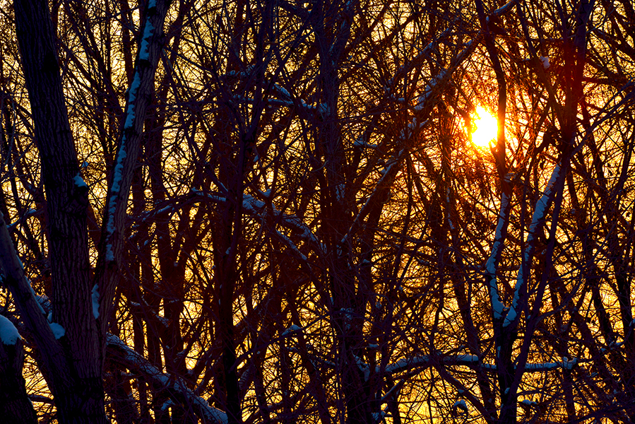 DSC_0257.JPG