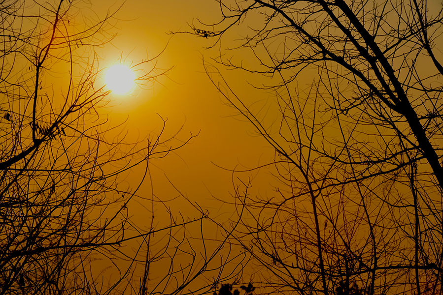 DSC_0262.JPG