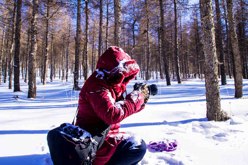 DSC_1137СС.jpg