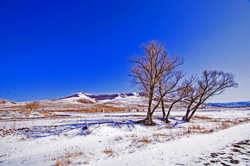 DSC_1118С.jpg