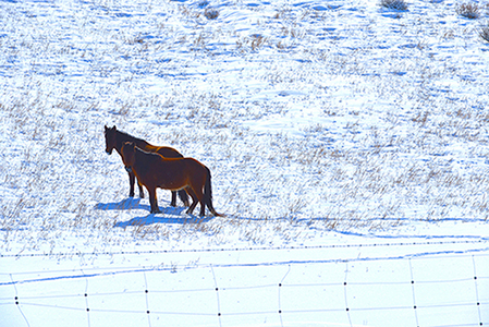 JPG _0052.JPG