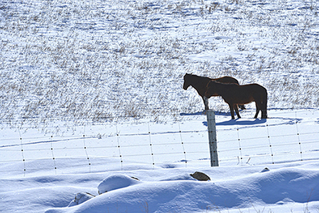 JPG_0048.JPG