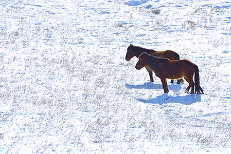 JPG_0061.JPG