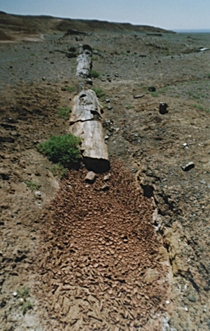 1990軯ľ2.jpg