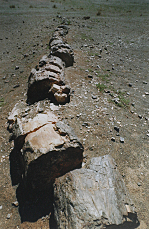 1990軯ľ4.jpg