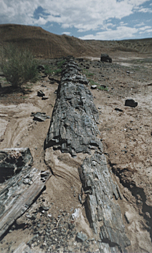 1990軯ľ5.jpg