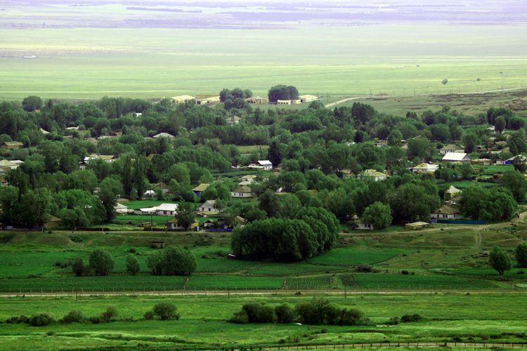 06.jpg