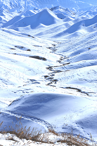 JPG_0081.JPG